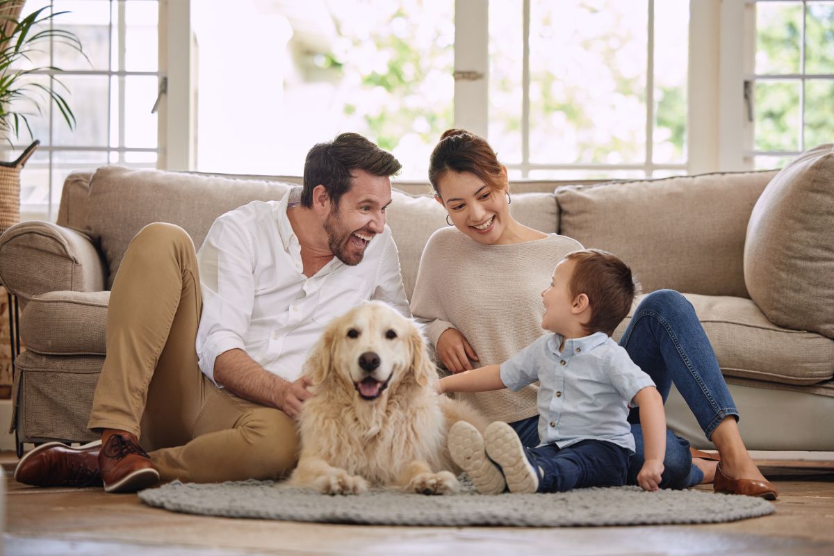 familie tanara cu copil si caine in living; amenajare interioara 