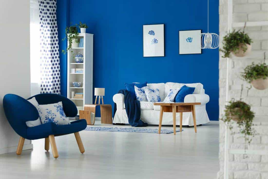 Trendy Blue And White Living Room Interior Design