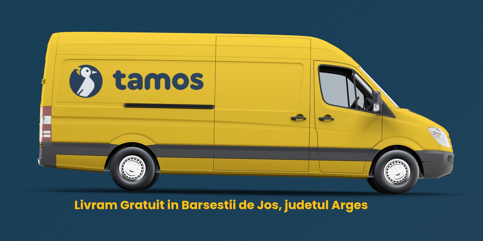 tamos-livreaza-in-barsestii-de-jos-judetul-arges tamos-livreaza-in-barsestii-de-jos-judetul-arges