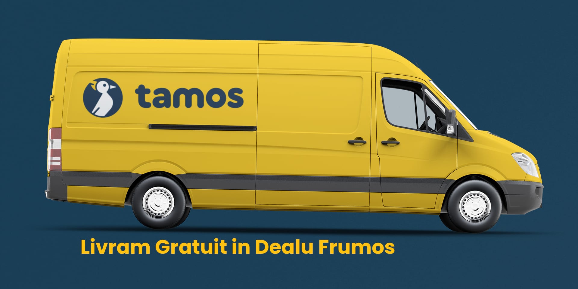 tamos-livreaza-in-dealu-frumos