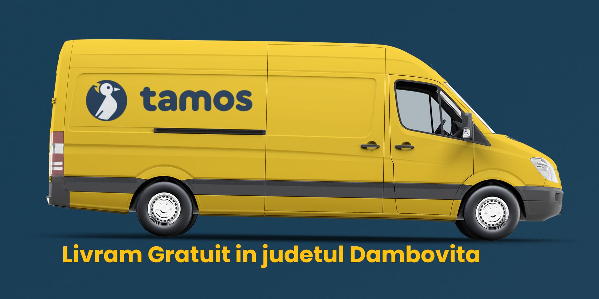 tamos-livreaza-in-judetul-dambovita