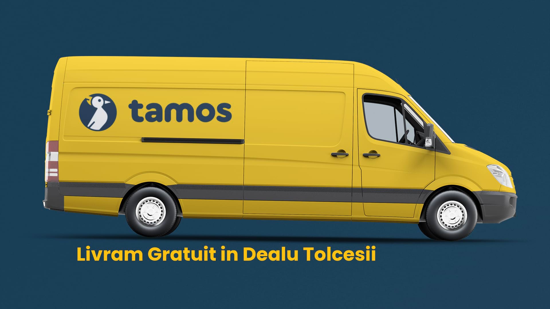 tamos-livreaza-gratuit-in-dealu-tolcesii tamos-livreaza-gratuit-in-dealu-tolcesii