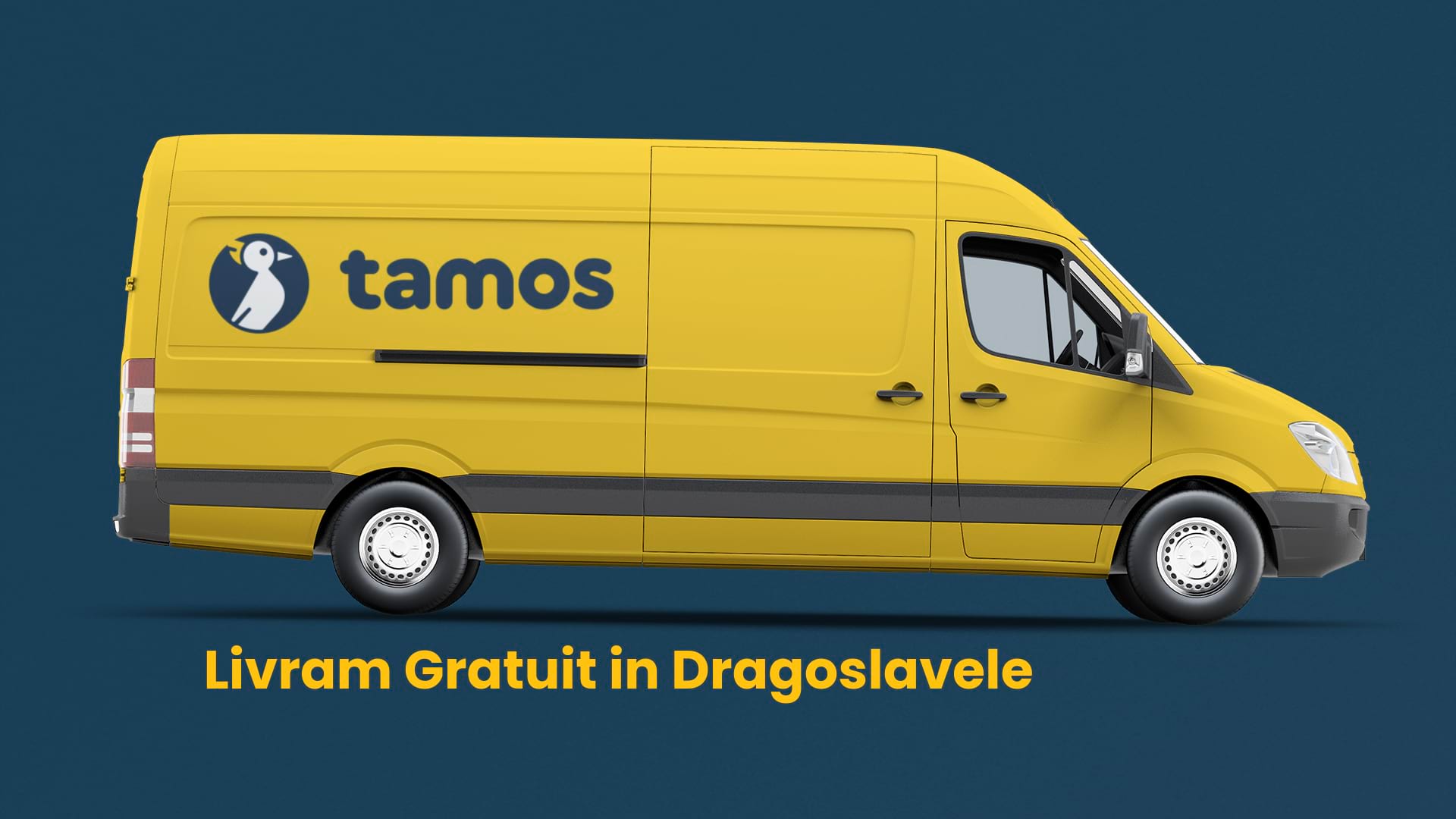 tamos-livreaza-gratuit-in-dragoslavele