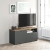 Comoda TV PRIMAVERA, 120x42, H58, 1U2S, Antracit, Stejar